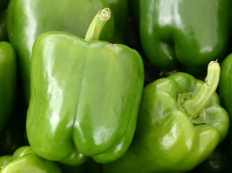 Pimento de Cambedo