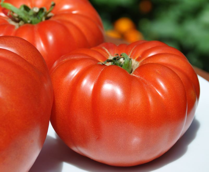 Tomate Coração de Boi